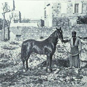 Palestine, early twentieth century. [Library of Congress]